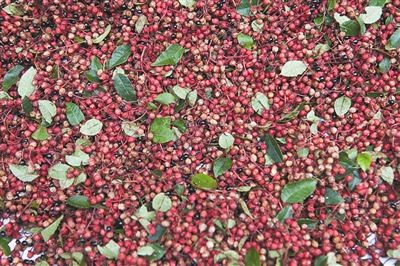 点击浏览下一页