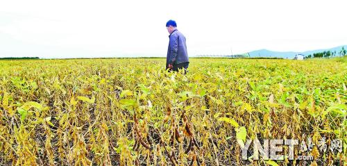 点击浏览下一页