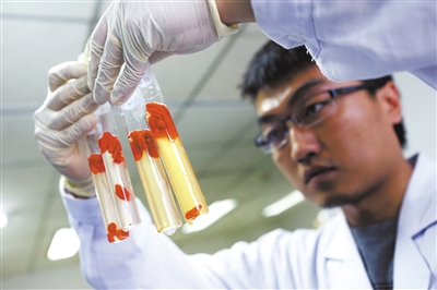 点击浏览下一页