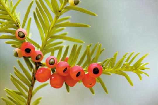 点击浏览下一页