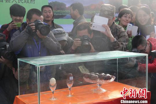 点击浏览下一页