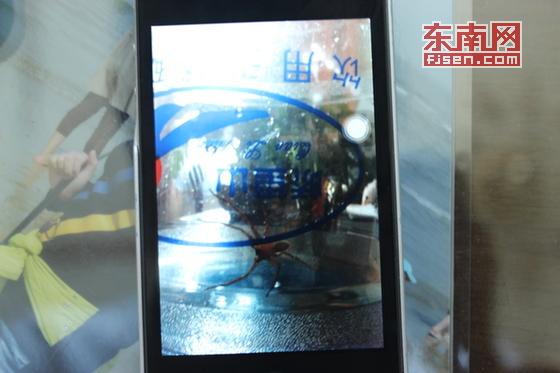 点击浏览下一页