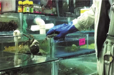 点击浏览下一页