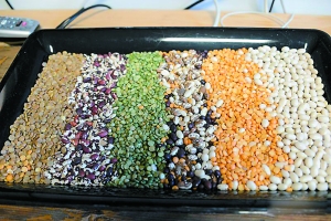 点击浏览下一页