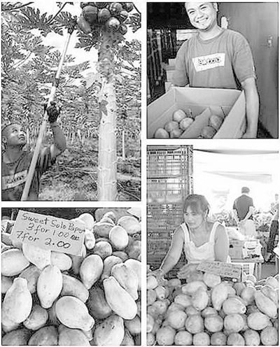 点击浏览下一页