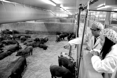 点击浏览下一页