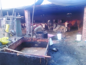 点击浏览下一页