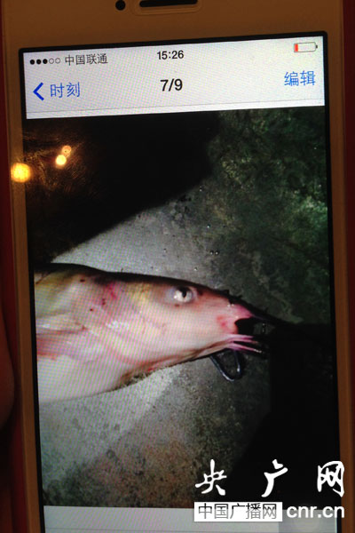 点击浏览下一页