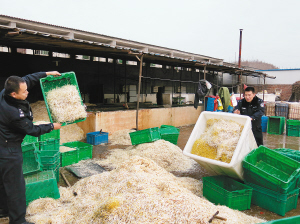 点击浏览下一页