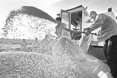 点击浏览下一页