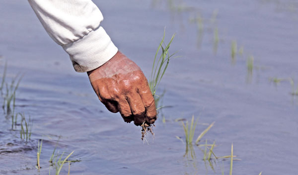 点击浏览下一页