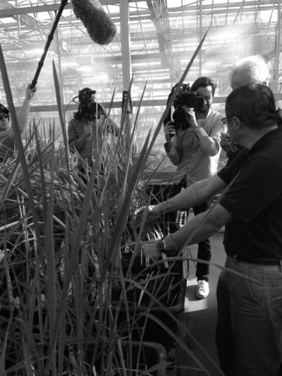 点击浏览下一页