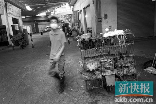 点击浏览下一页