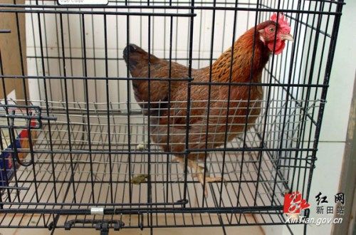 点击浏览下一页