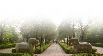 点击浏览下一页