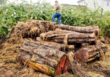 点击浏览下一页