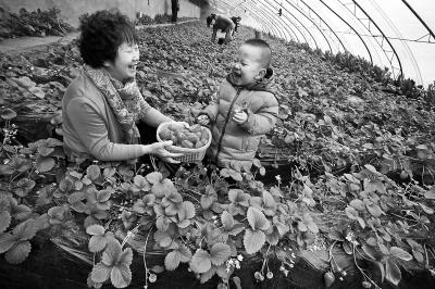 点击浏览下一页