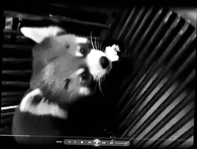 点击浏览下一页