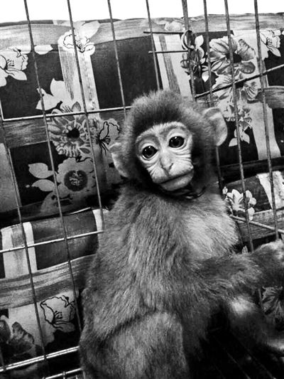 点击浏览下一页