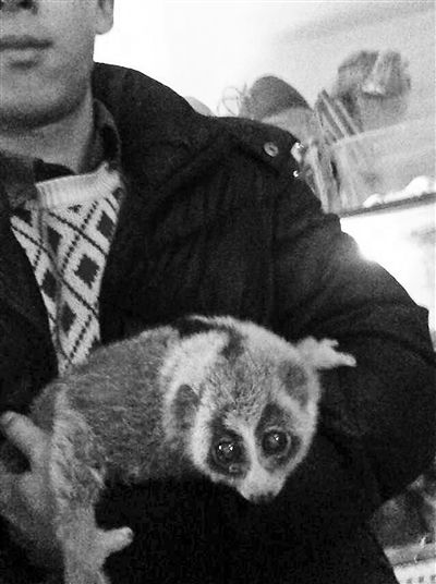 点击浏览下一页