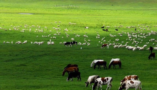 点击浏览下一页