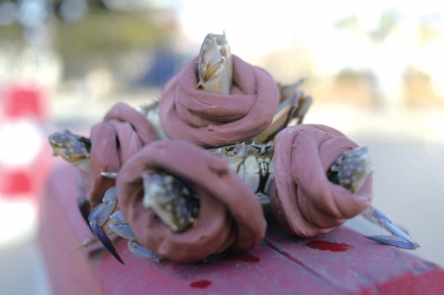 点击浏览下一页