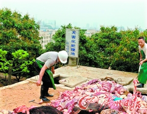 点击浏览下一页