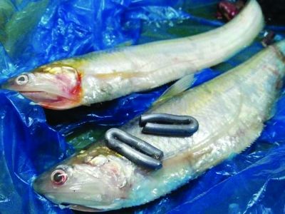 点击浏览下一页