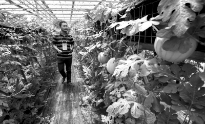 点击浏览下一页