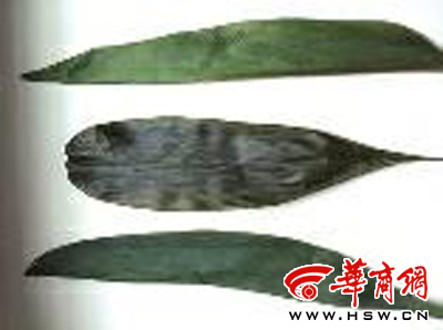 点击浏览下一页