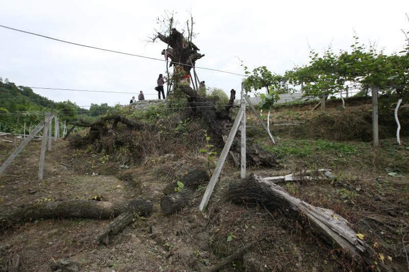 点击浏览下一页