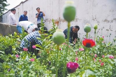 点击浏览下一页