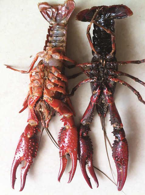 点击浏览下一页