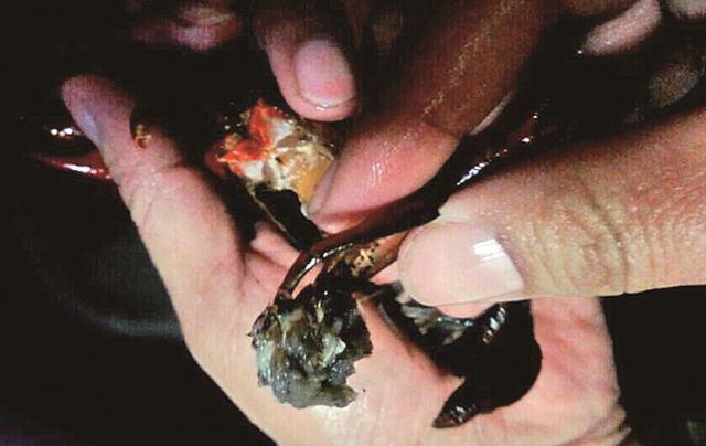 点击浏览下一页