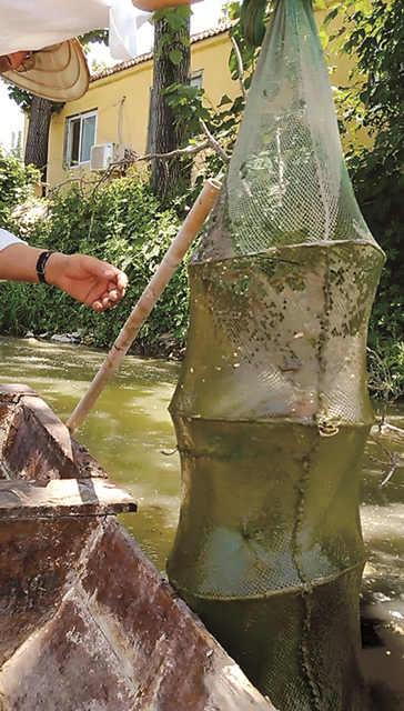 点击浏览下一页