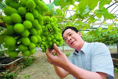 点击浏览下一页