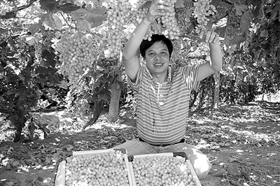 点击浏览下一页