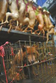 点击浏览下一页