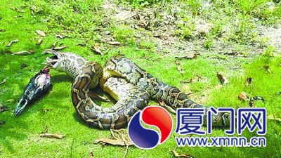 点击浏览下一页