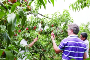点击浏览下一页