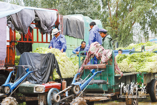 点击浏览下一页