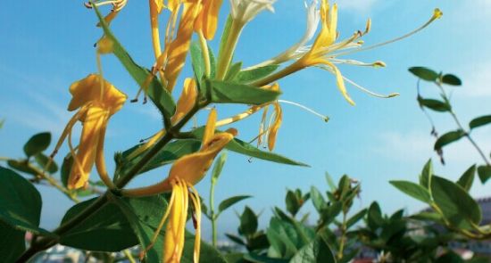 点击浏览下一页