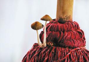 点击浏览下一页