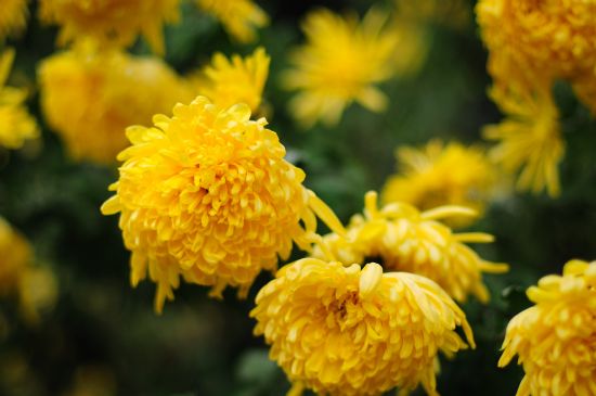 点击浏览下一页