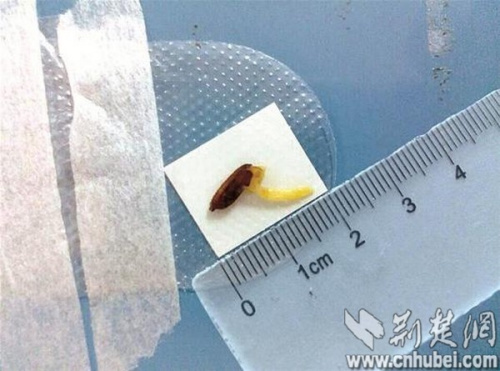 点击浏览下一页