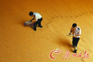 点击浏览下一页