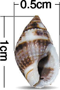 点击浏览下一页