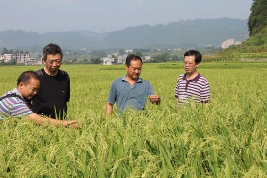 点击浏览下一页