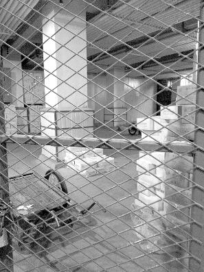 点击浏览下一页