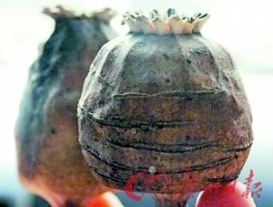 点击浏览下一页